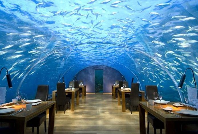 Khách sạn Conrad Maldives nằm trong khu nghỉ dưỡng tổ hợp thuộc vườn nhiệt đới đảo Rangalifinolhu, quốc đảo Mandives. Nơi đây được đánh giá là một trong những khu nghỉ dưỡng đẹp nhất thế giới với nhà hàng ngầm dưới nước có mái vòm trong suốt.